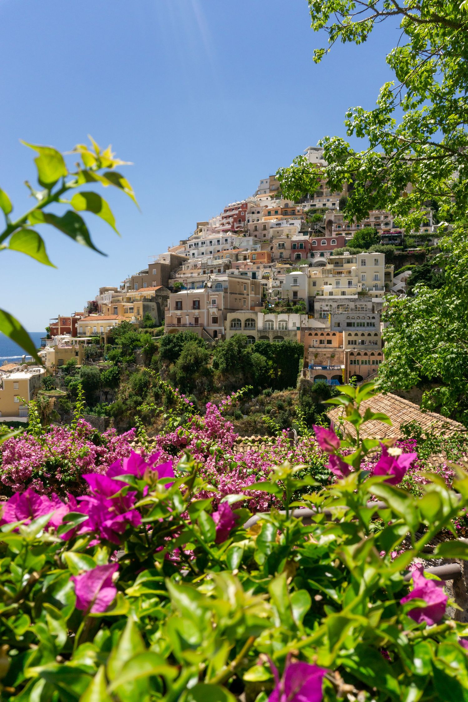 Colorful hillside village of Positano on the Amalfi Coast framed by vibrant pink bougainvillea flowers.
Reizen - Lynn - Campania