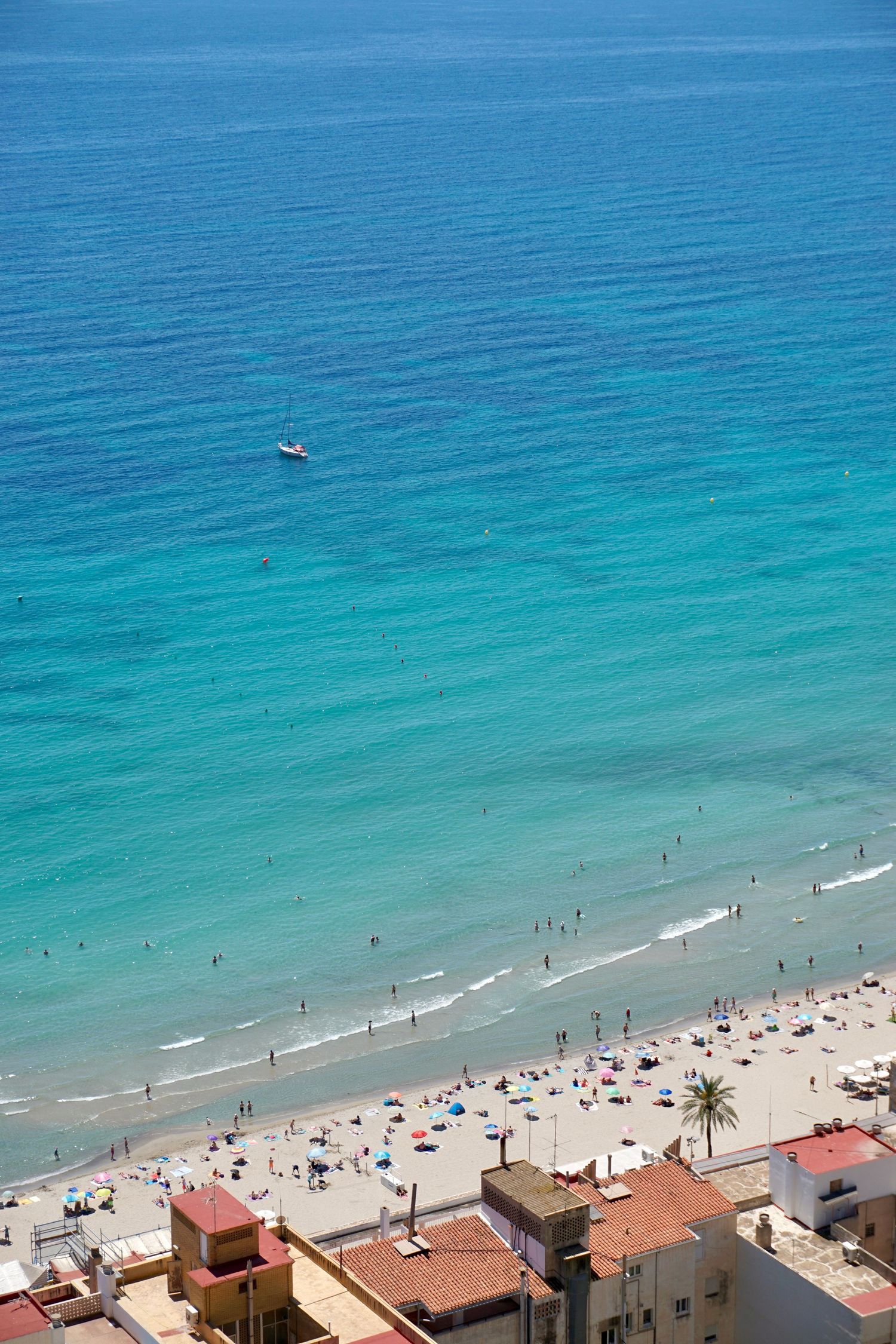 Aerial view of a turquoise Mediterranean beach with sunbathers and colorful umbrellas.
Reizen - Lynn - Alicante
