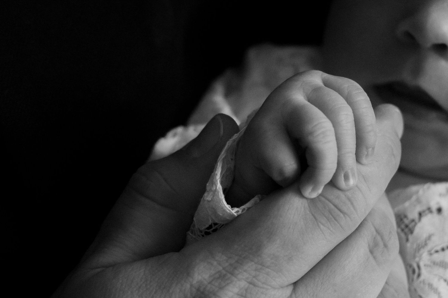 Black and white close-up of a newborn baby grasping an adult's thumb tenderly.
Ellis - Newborn shoot