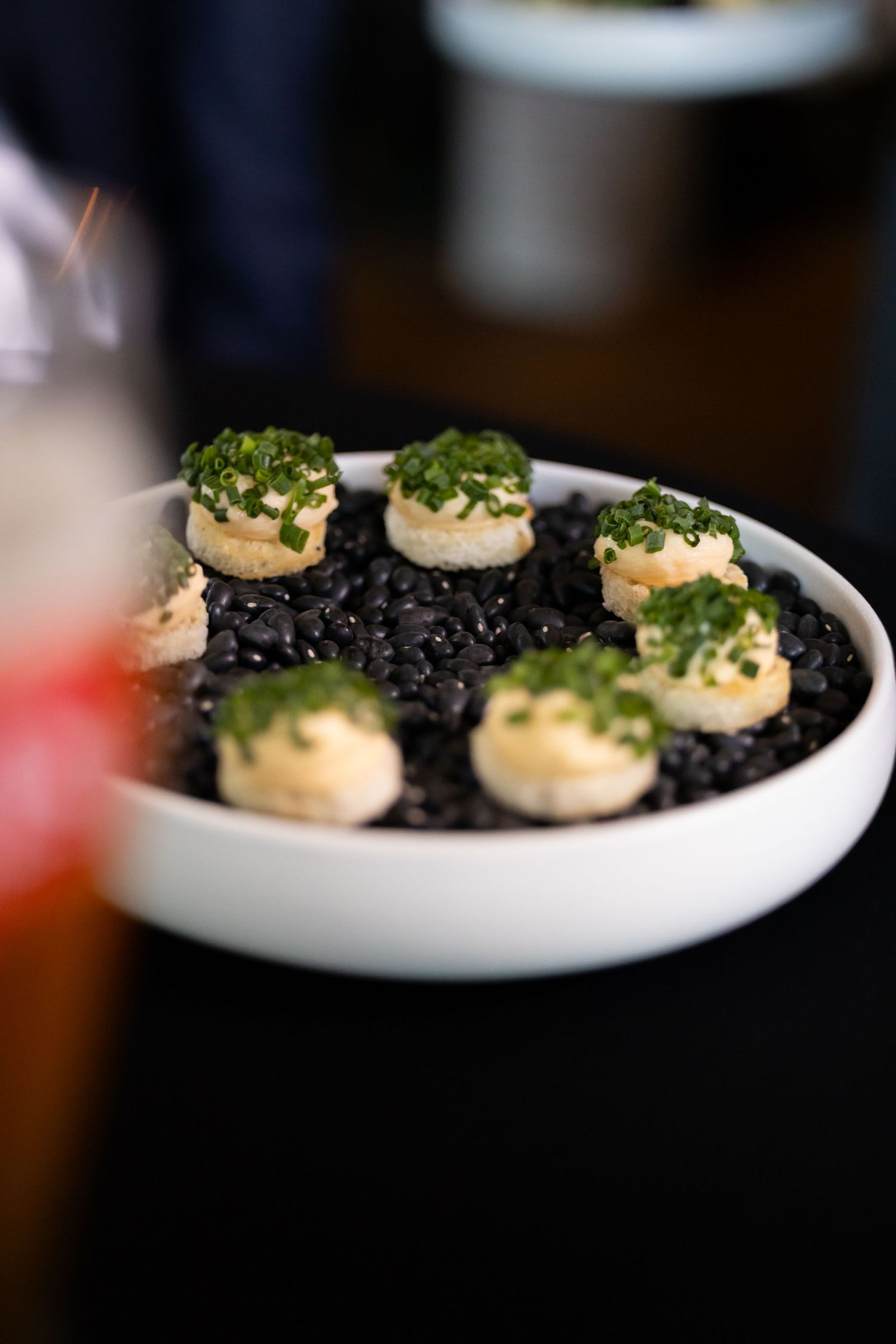 Elegant appetizers with scallops topped with fresh herbs served on black lentils in a white bowl.