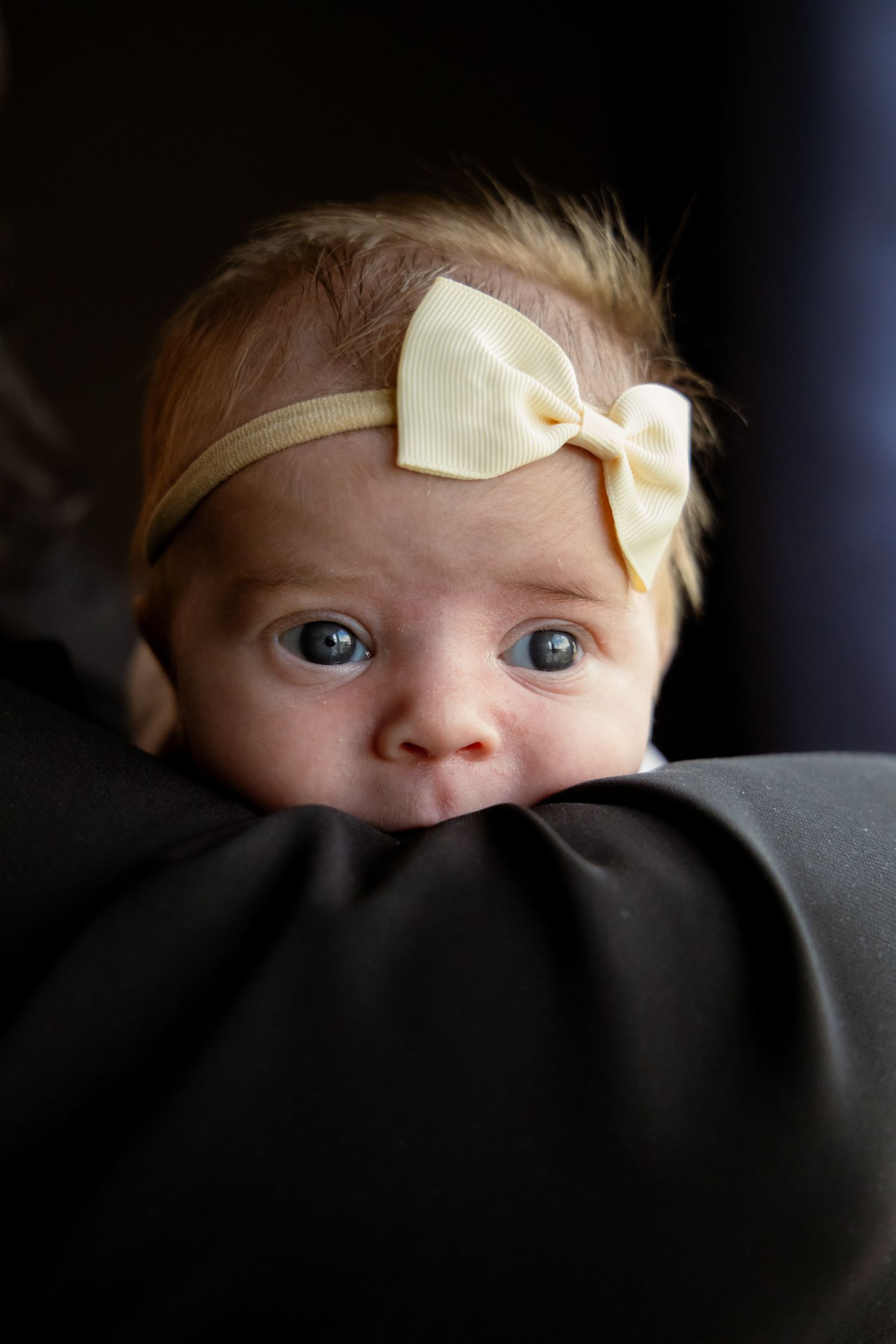 Adorable newborn baby with white bow headband looking up with wide blue eyes.
Ellis - Newborn shoot