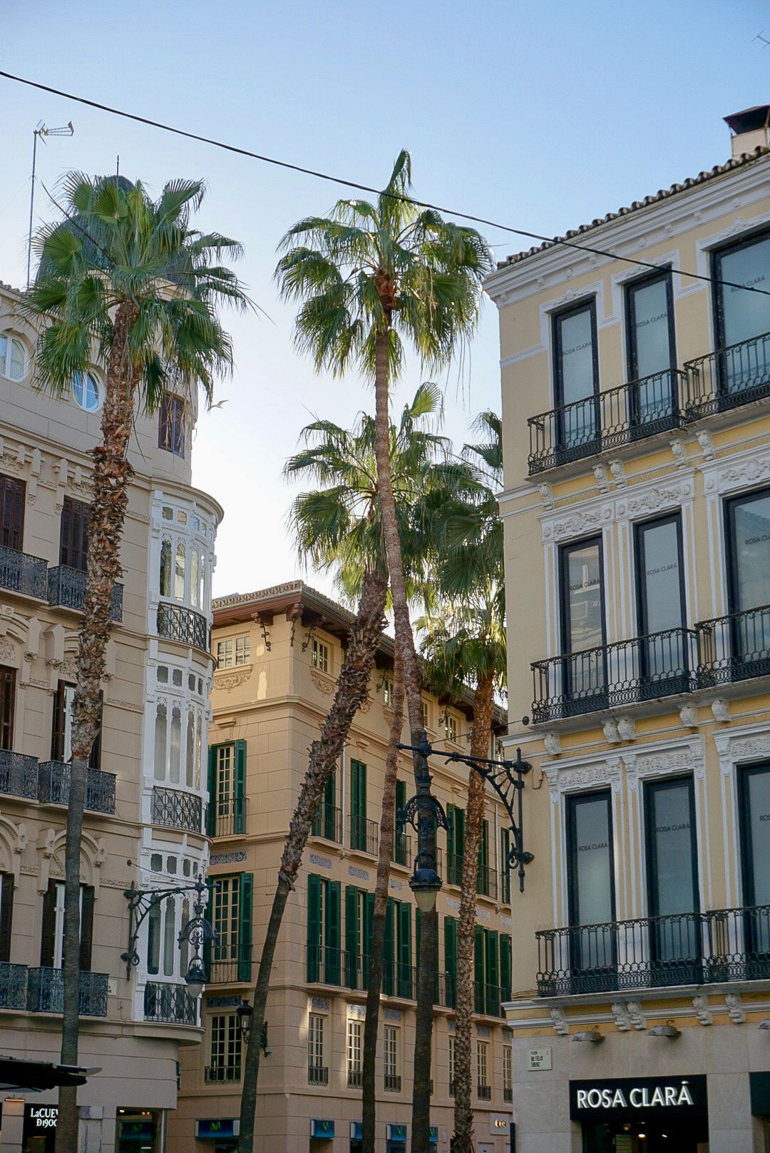 Palm trees rise above elegant European buildings with balconies and green shutters in a sunny Mediterranean city square.
Lynn - Malaga
