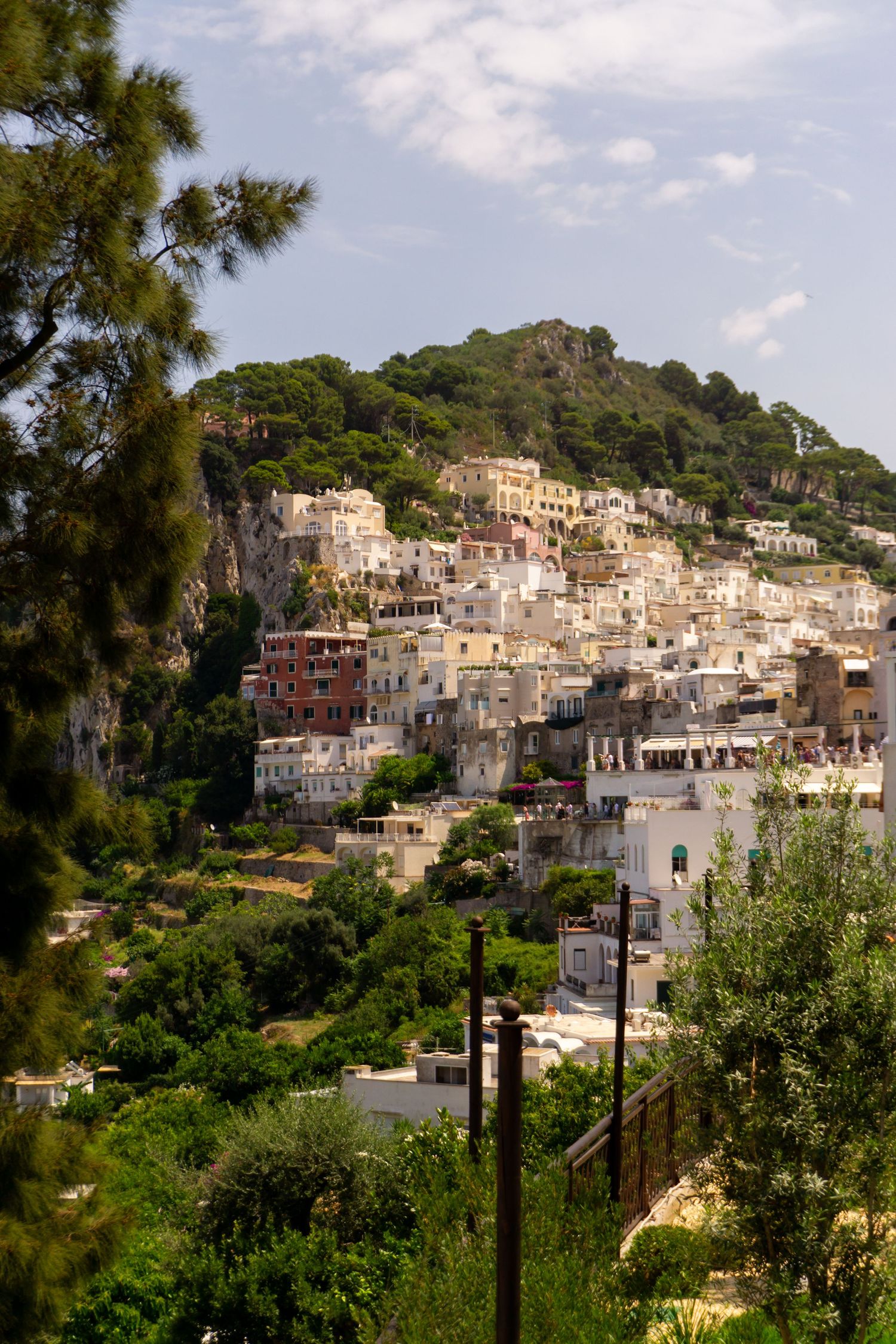 Hillside village of Capri, Italy, with white buildings nestled among lush green trees under a partly cloudy sky.
Reizen - Lynn - Capri