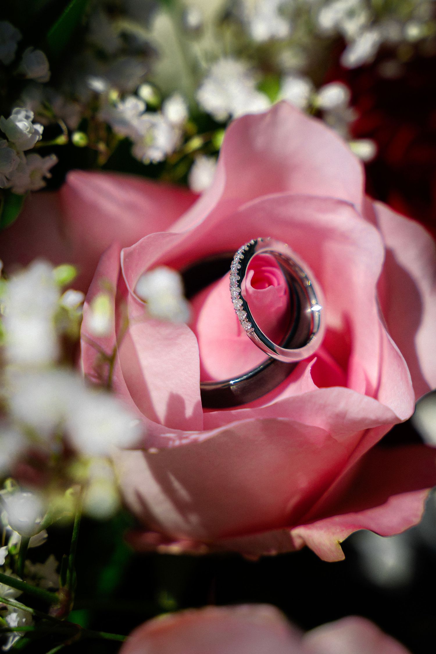Two silver wedding bands resting inside a pink rose with white baby's breath flowers.
