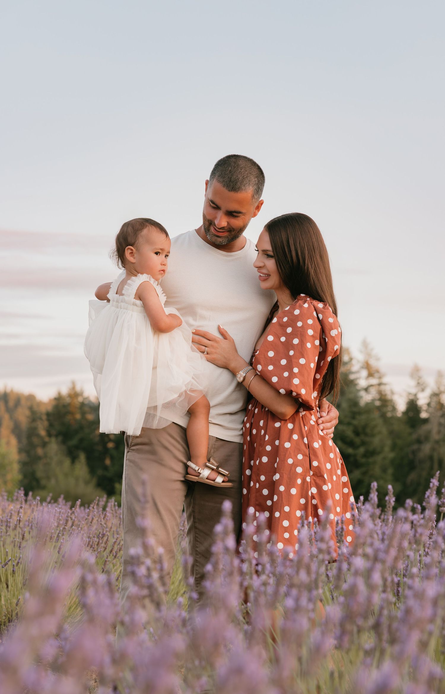 A family shares tender moments together in a blooming purple lavender field at sunset.