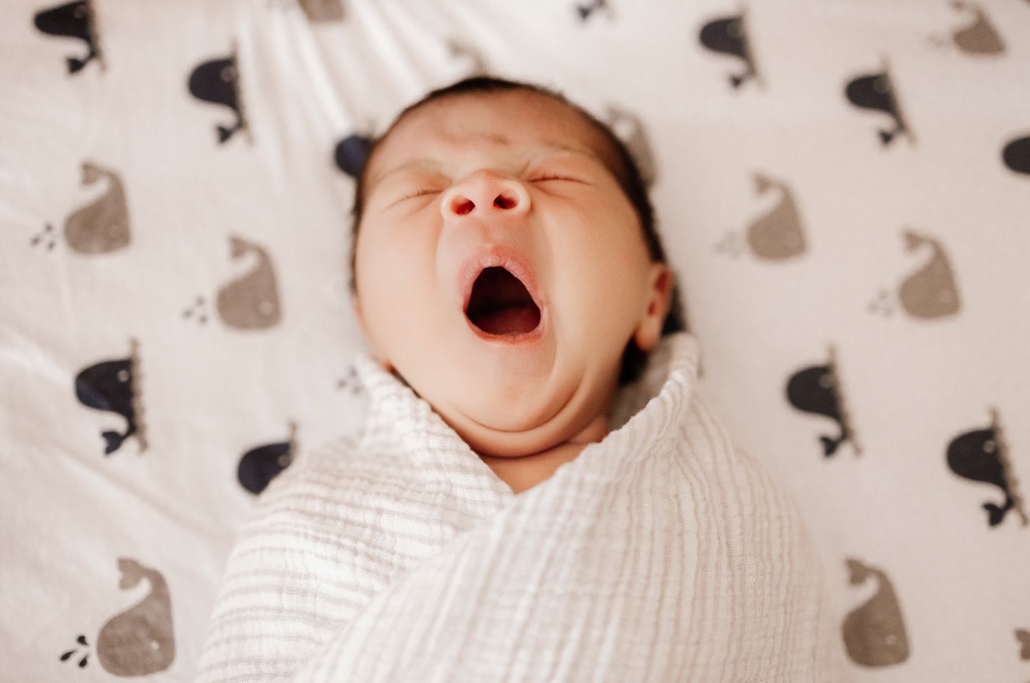 Newborn baby yawns during his in-home newborn photoshoot in San Jose