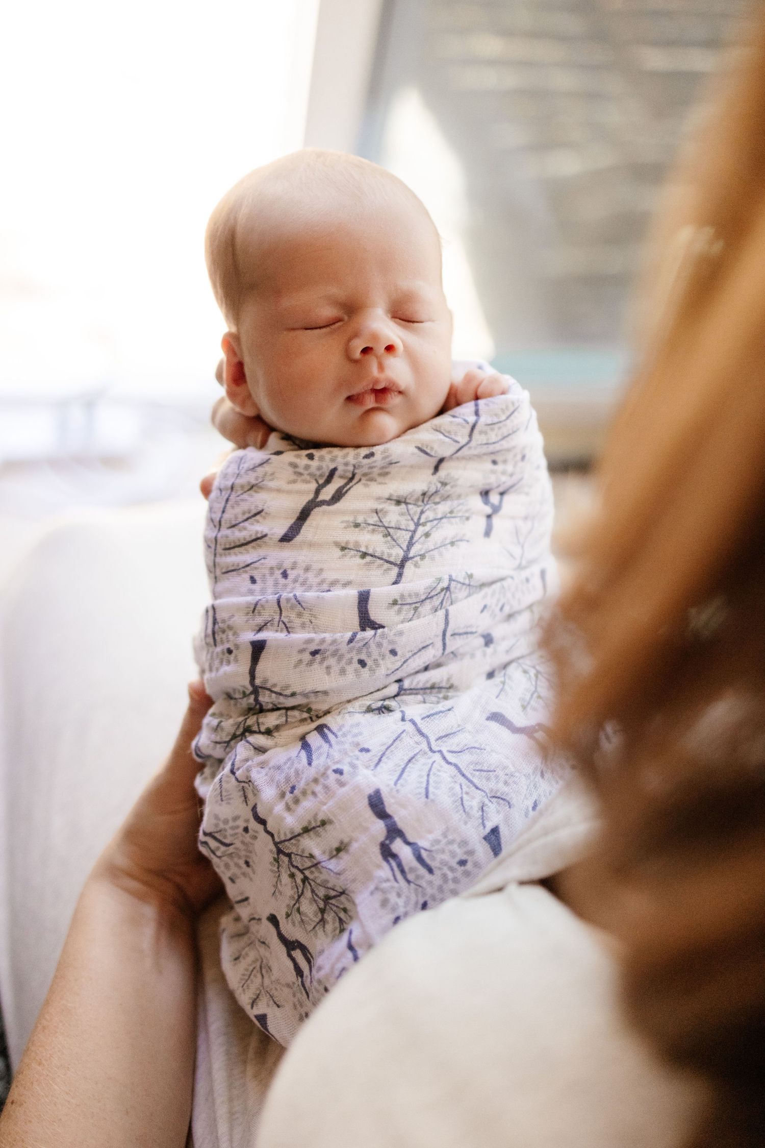 Swaddled newborn baby sleeps during his newborn photo session with Bay Area Newborn Photographer Cindy Tucey