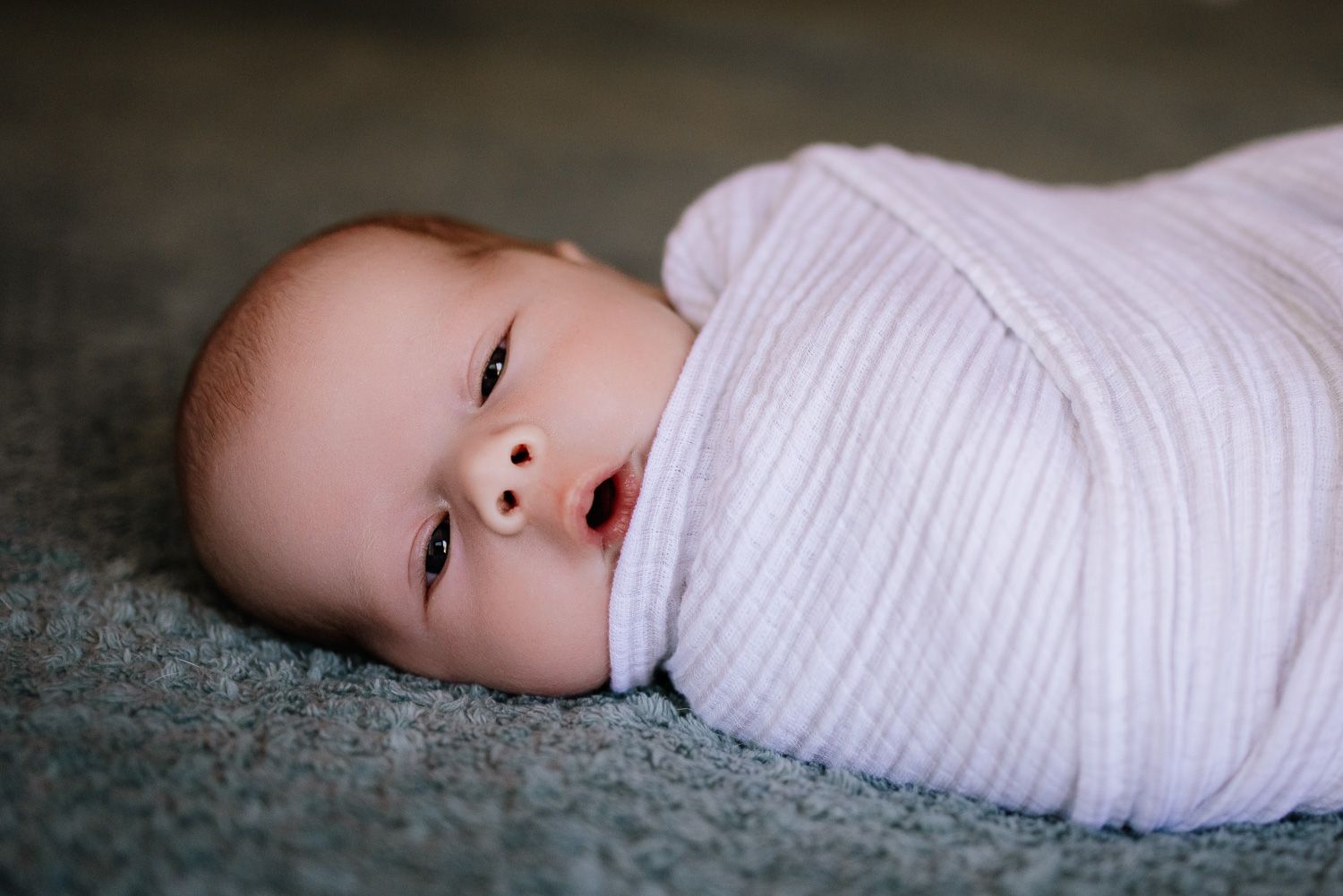 Swaddled newborn baby looks curiously at the camera during newborn photography session in San Jose