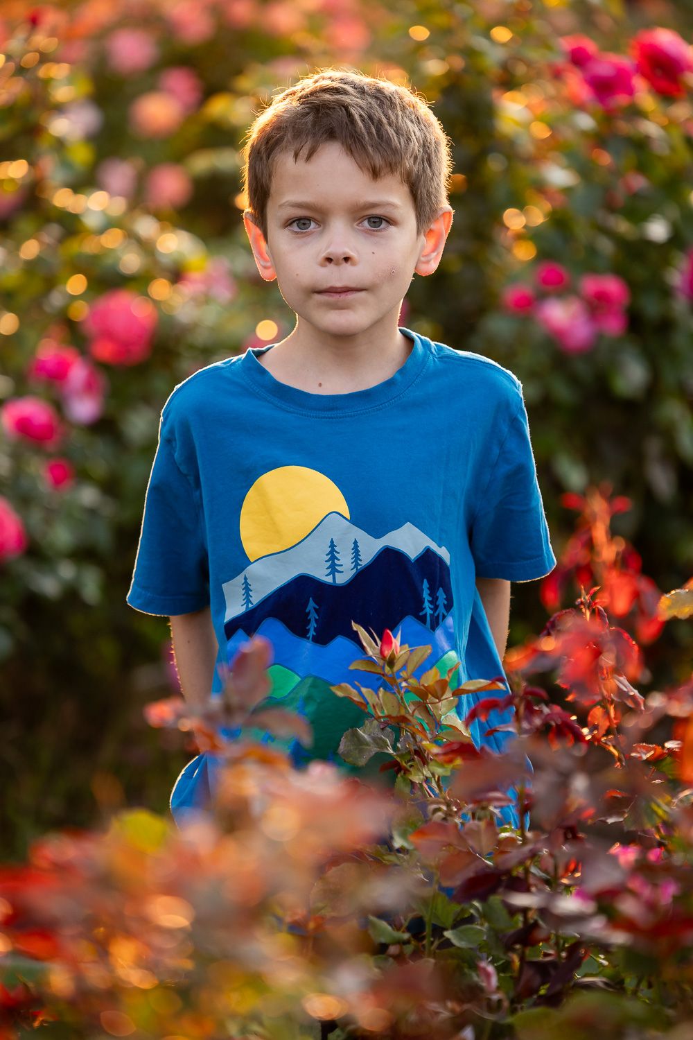 Child stands amidst roses at family photo session in San Jose at the Rose Garden with San Jose Family Photographer Cindy
