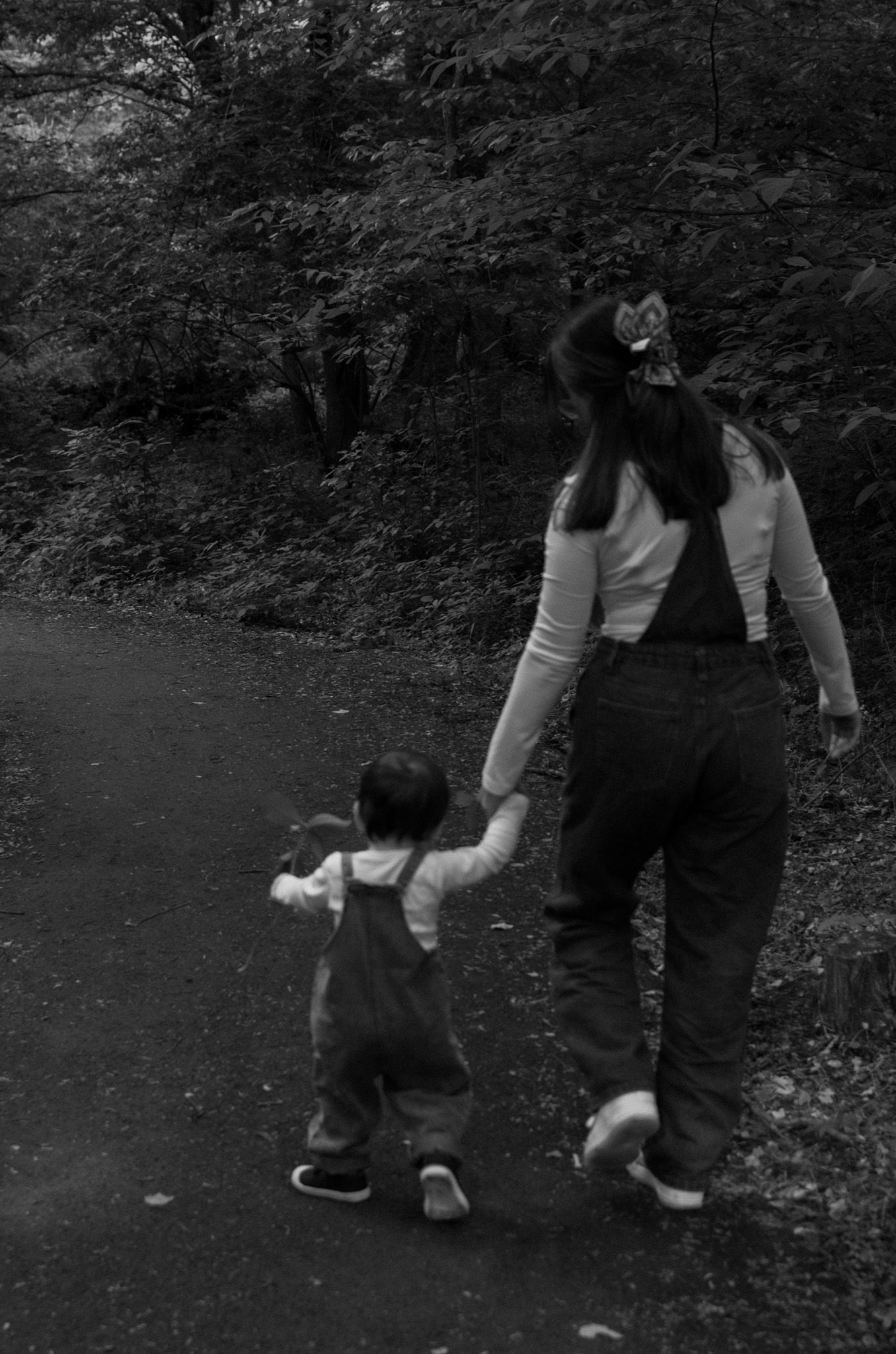 A sequence of black and white images showing someone walking a dog on a path through a wooded area.