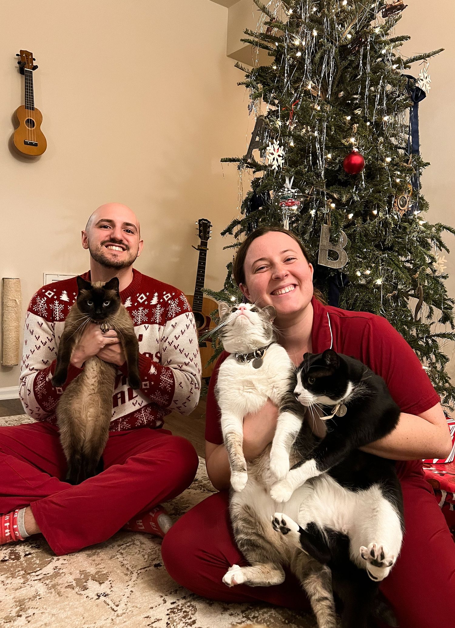 A festive Christmas photo series showing a person in red with cats posing playfully by decorated trees and guitars.