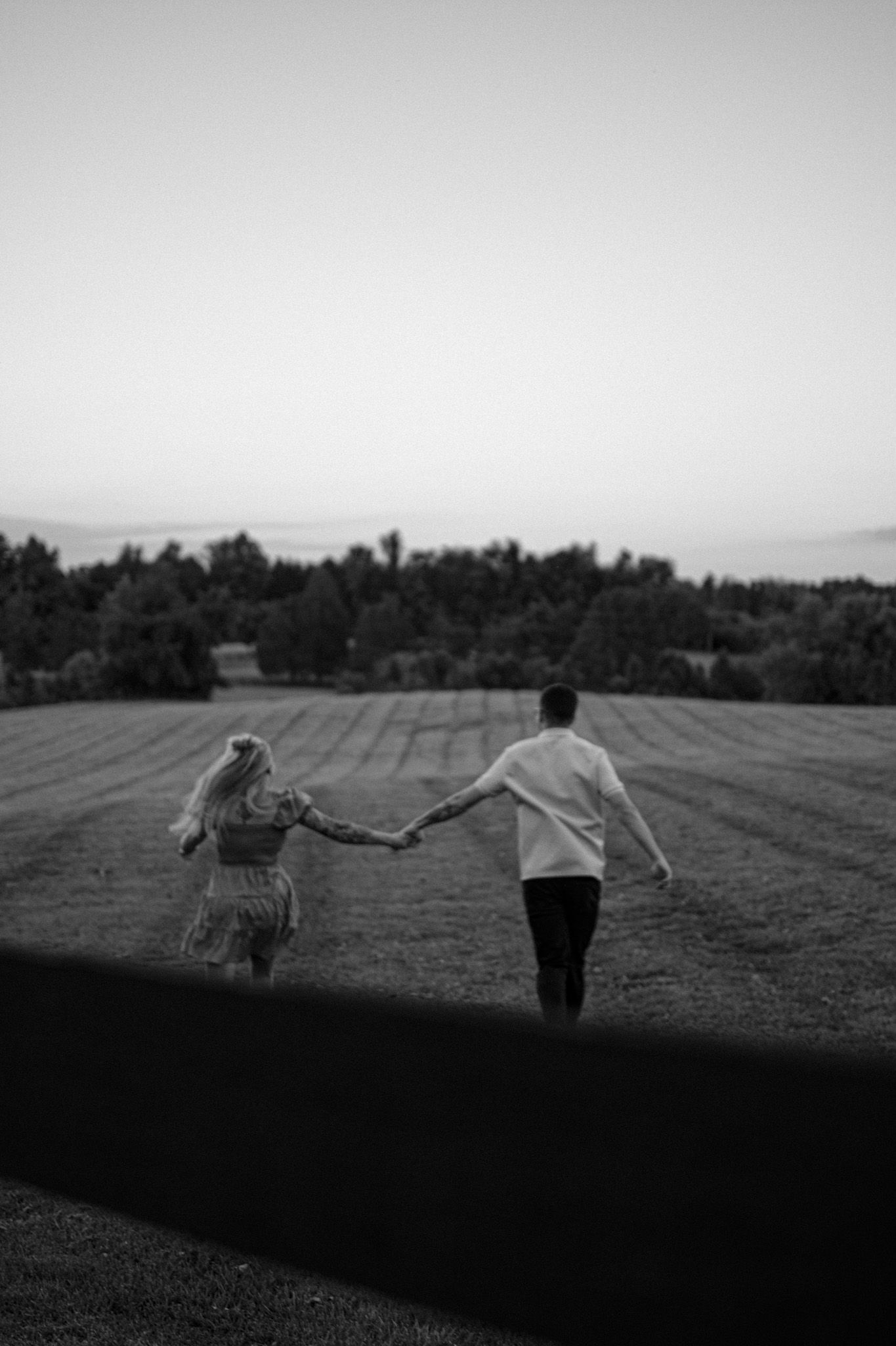 Cinematic photography captured in the fields of Middleburg, Virginia by local photographer Courtney Taylor Photography.