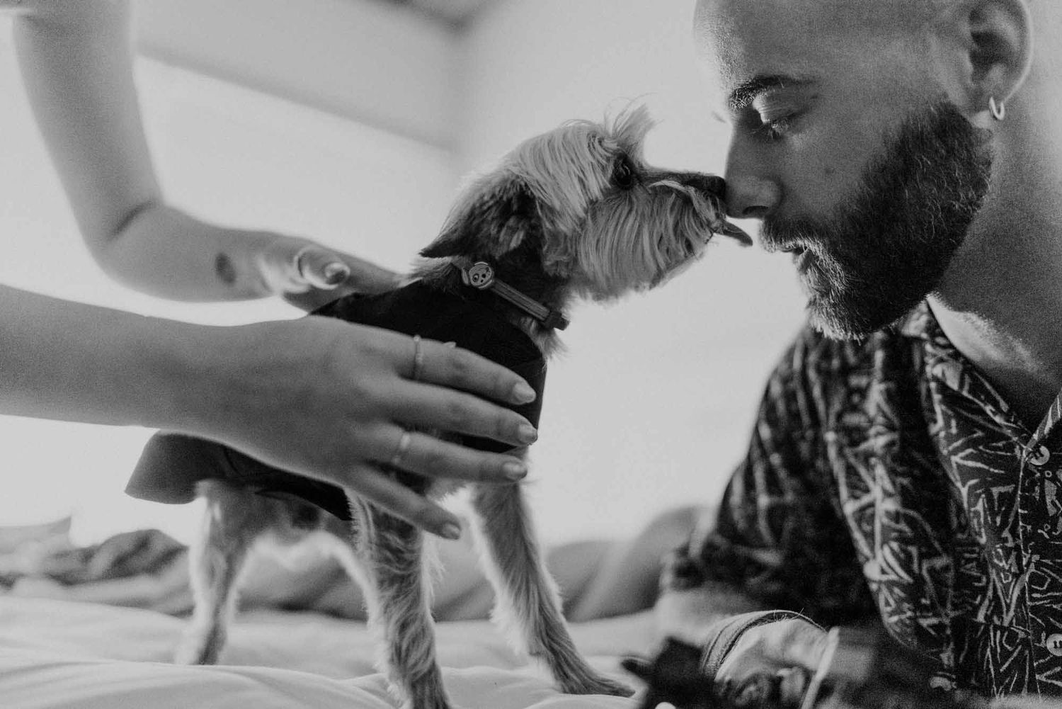 groom with dog during wedding day in portugal