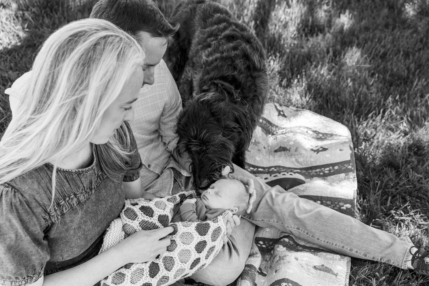 Black and white photo of parents and their large black dog gathered around a newborn on a blanket.