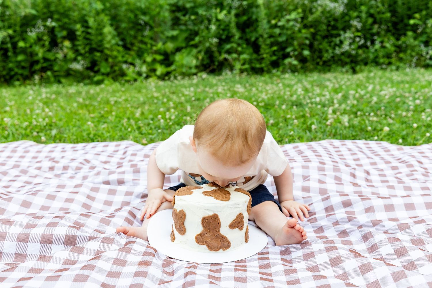 Baby smashing face into cow print first birthday cake on checkered blanket in green grass outdoor setting.