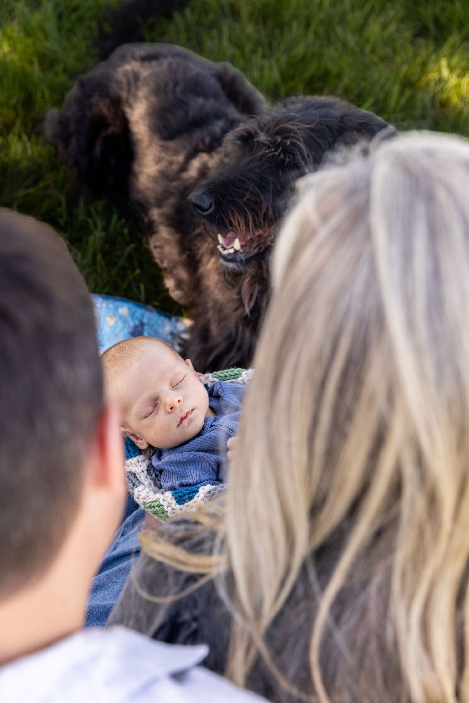 Parents watch as a large black dog gently sniffs their sleeping newborn baby on a grass lawn.