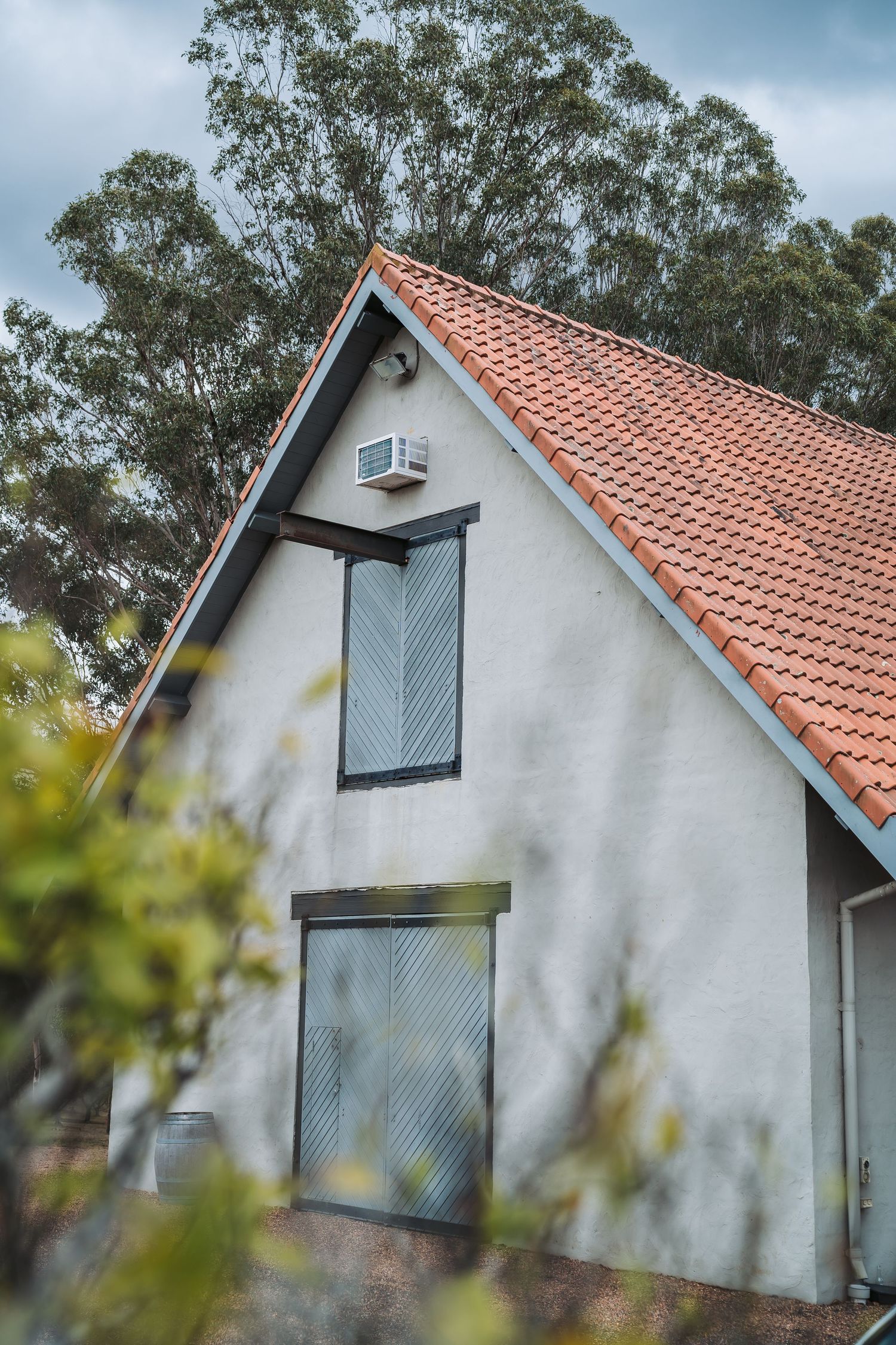 A modern white house with terracotta roof tiles and blue-tinted windows surrounded by tall eucalyptus trees.