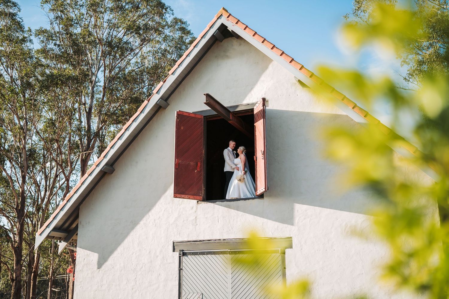 A white country barn with an open loft window framed by eucalyptus trees on a sunny day.