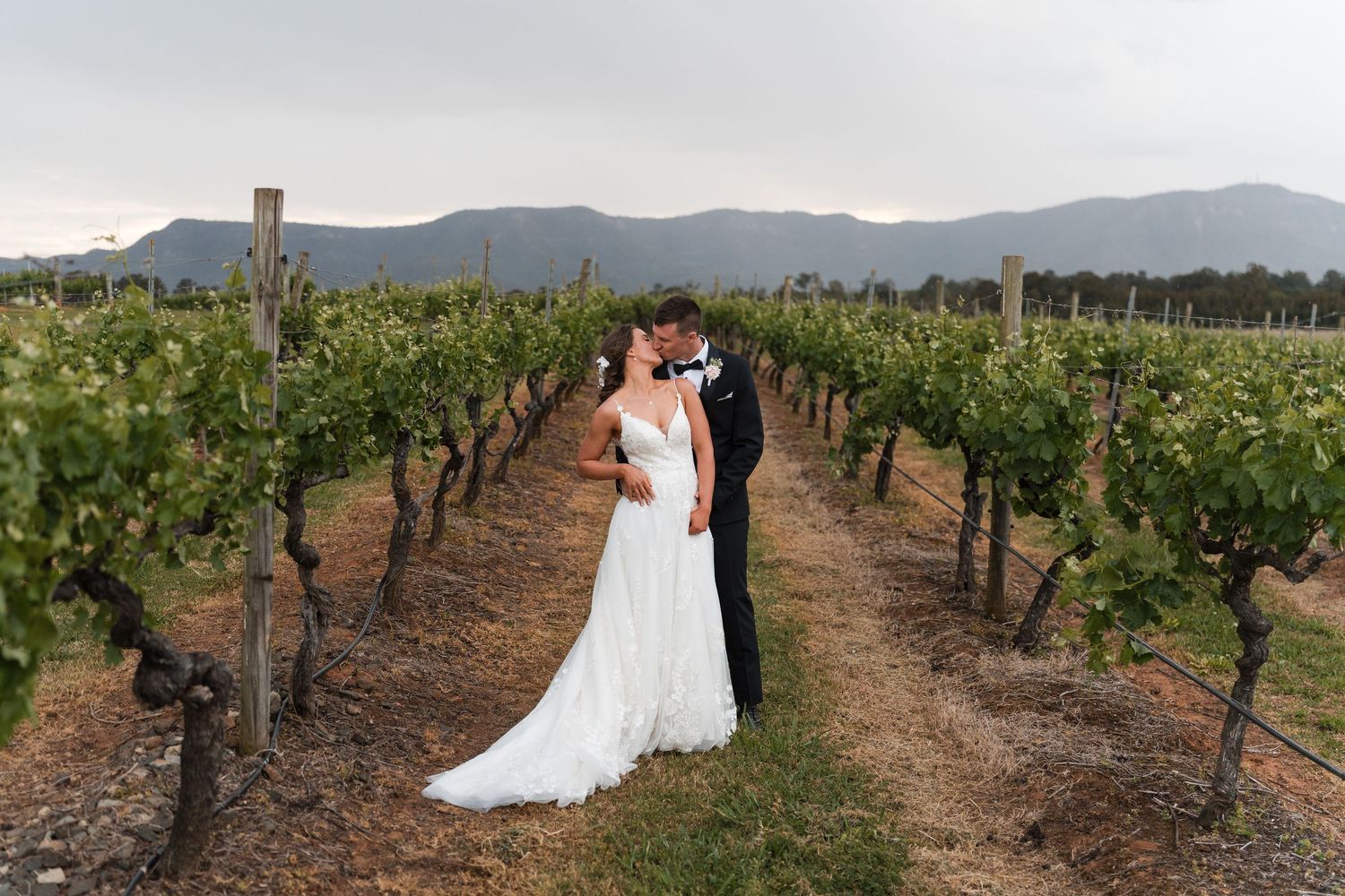 Bride and groom kissing in a vineyard with mountain views at sunset on their wedding day.