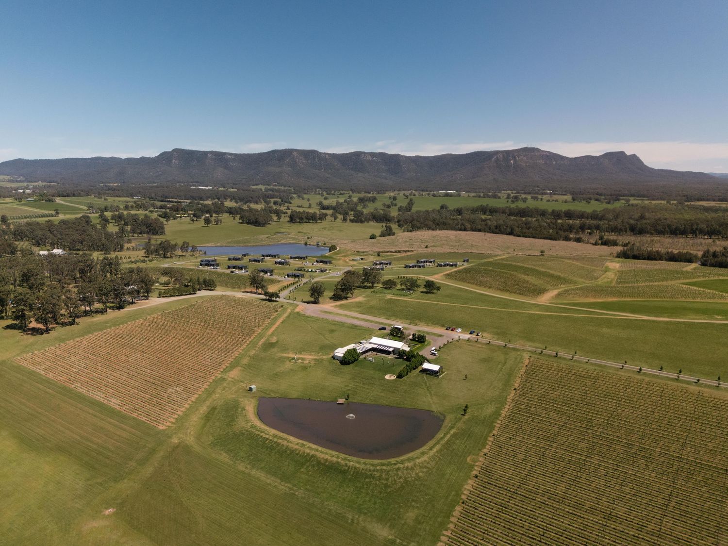 Aerial view of scenic vineyard estate with mountains, green fields, and a pond in rural Australia.