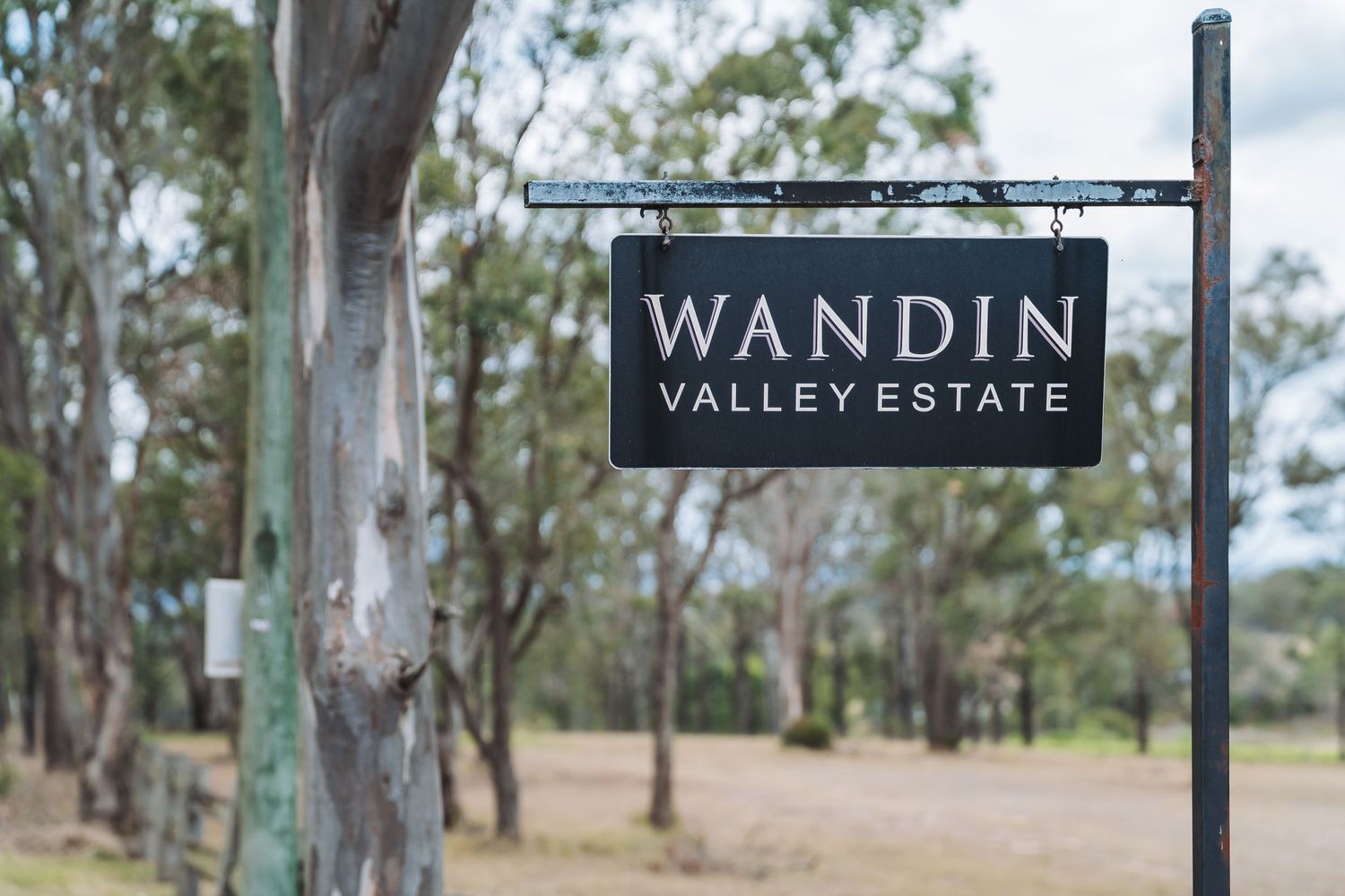 A rustic wooden sign for Wandin Valley Estate mounted on a post among gum trees.