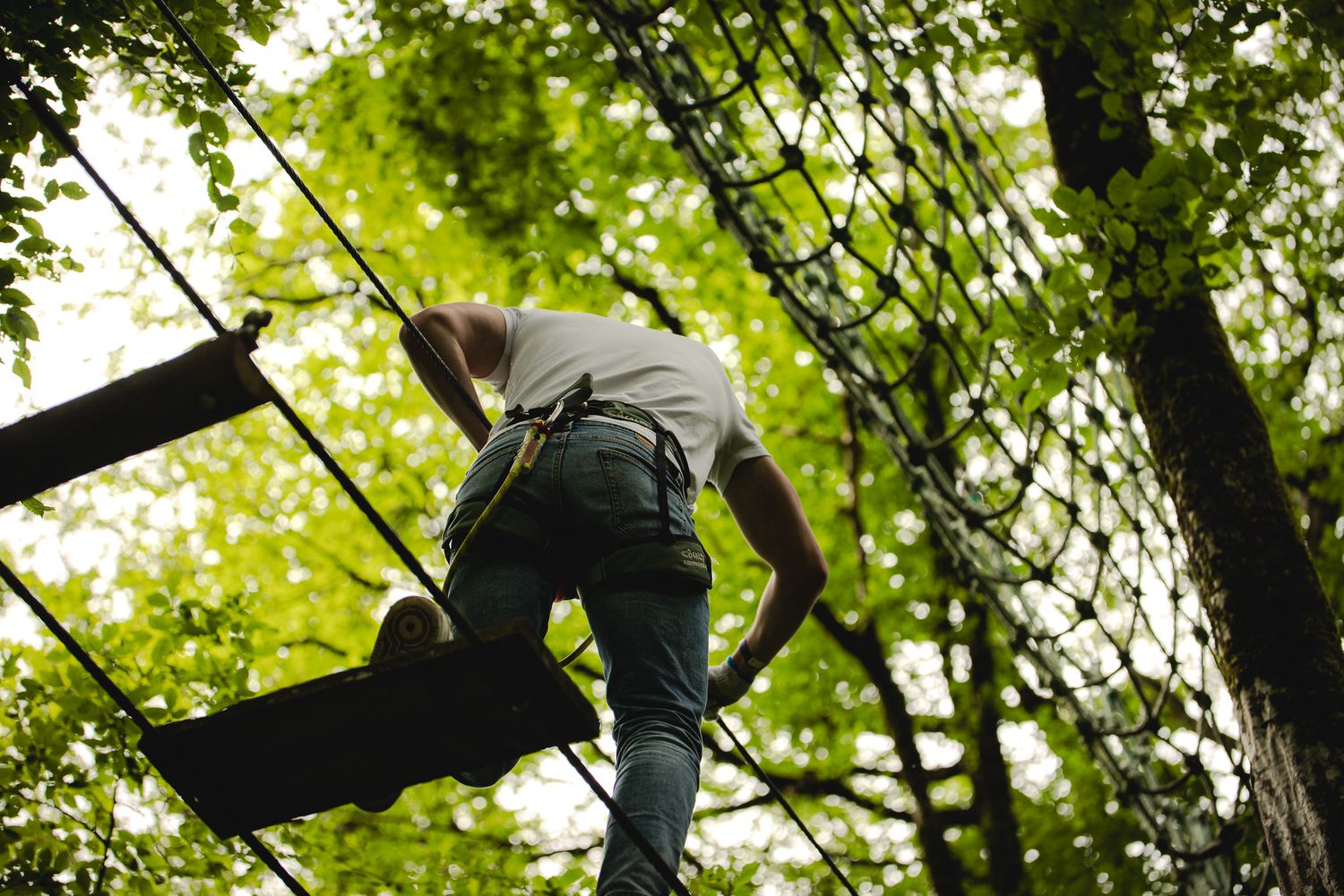 Person climbing a rope net obstacle course in a treetop adventure park surrounded by green foliage.
