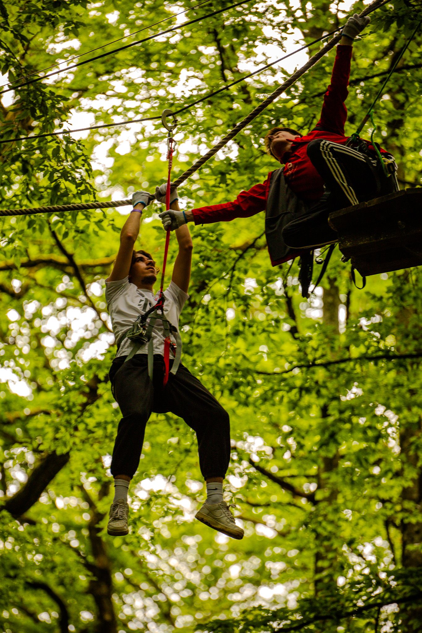 Two people hanging from ropes in a treetop adventure park amid lush green trees.