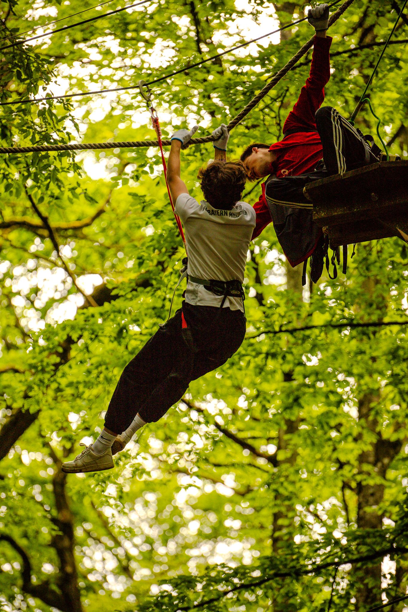 Two participants navigating a high ropes course in a forest canopy adventure park.