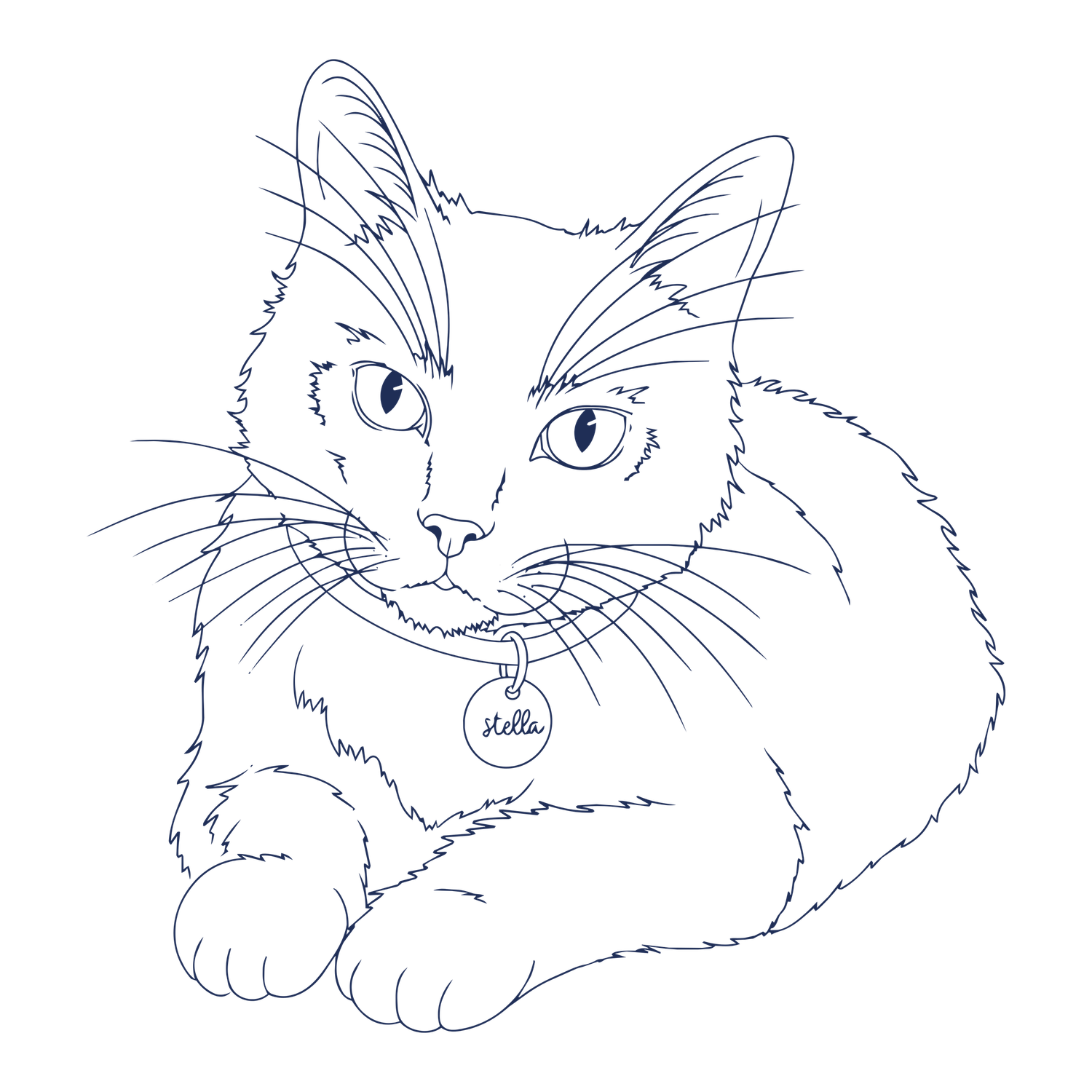 Detailed blue line art illustration of a fluffy cat with a name tag collar.