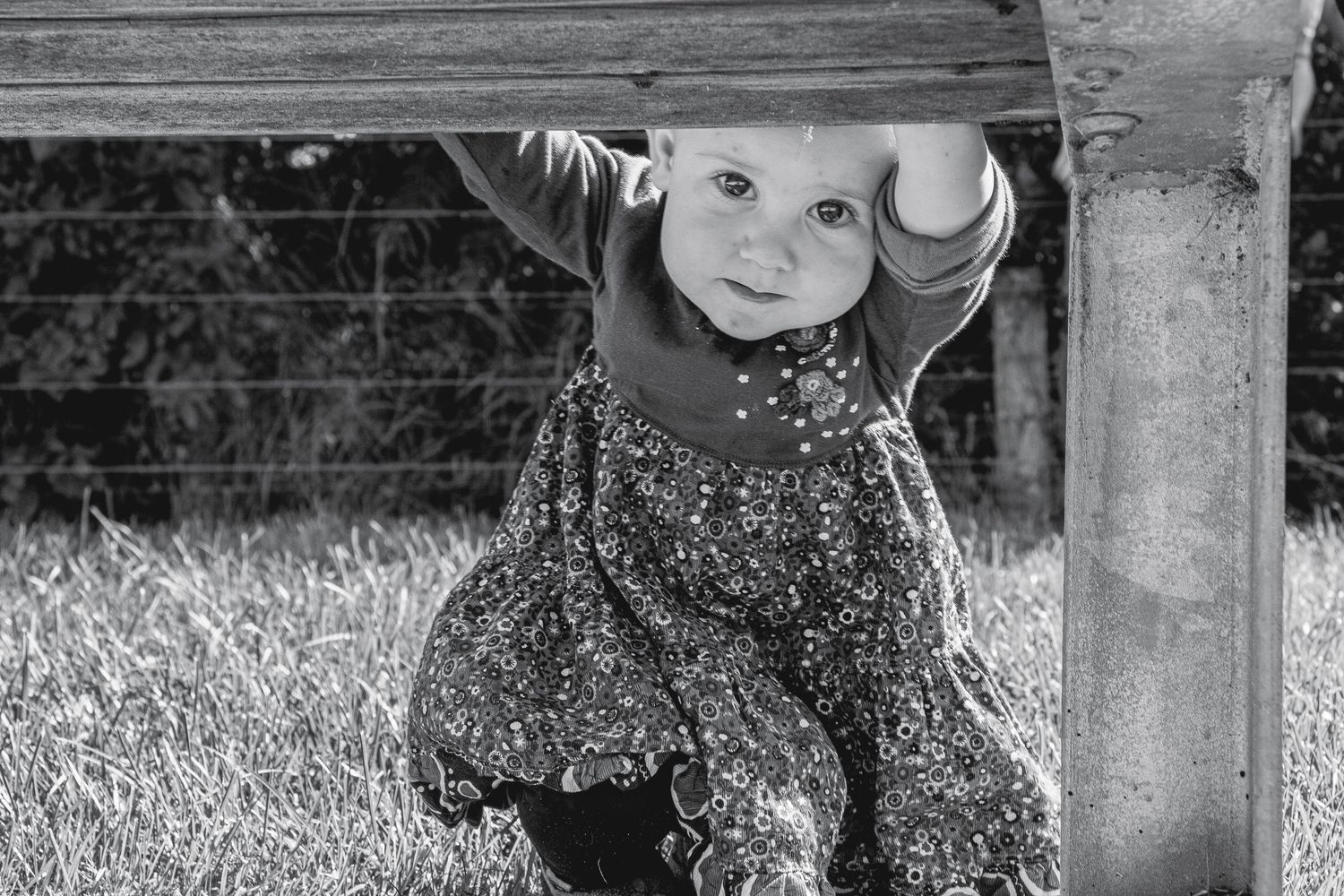 Black and white photo of a cute baby girl in a floral dress playing under a wooden fence in a grassy field.