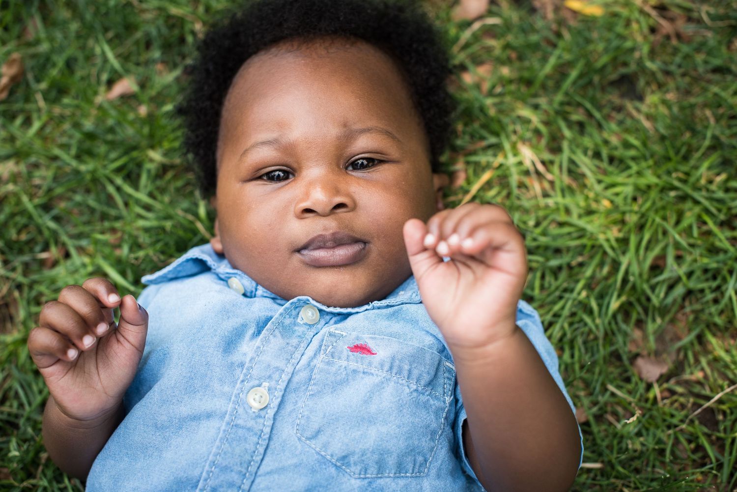 Adorable African American baby lying on green grass looking up at camera with curiosity.
