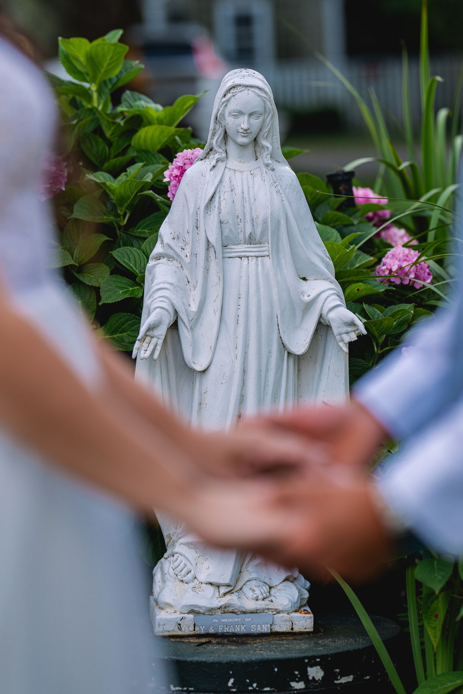 White Virgin Mary garden statue surrounded by pink hydrangeas, with blurred hands clasped in prayer in foreground.