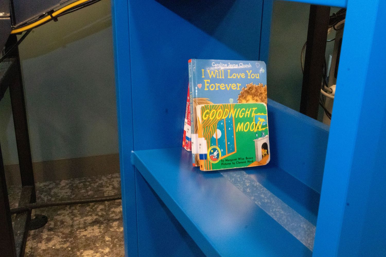 Blue bookshelf displaying two classic childrens books, Goodnight Moon and I Will Love You Forever, in a library.