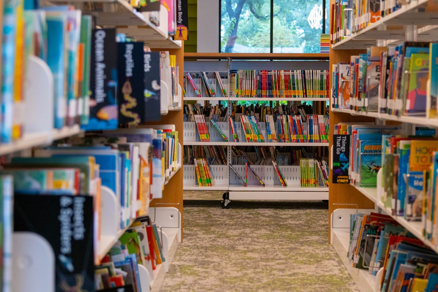 Colorful children's book aisle in a library with shelves full of vibrant picture books.