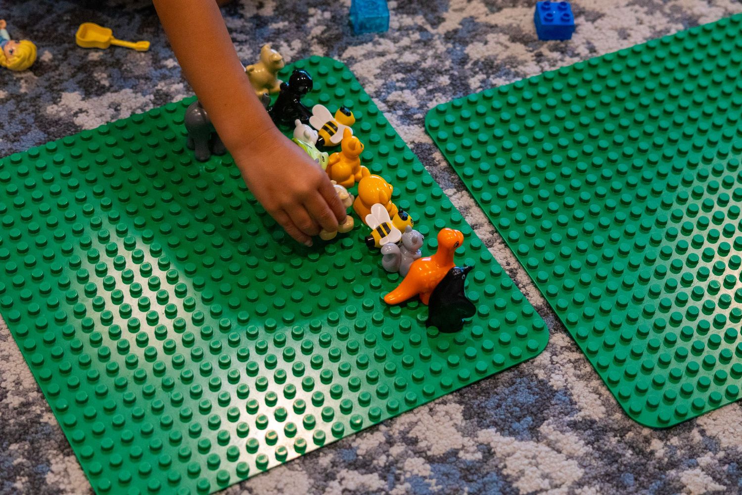 Child arranging colorful animal figures on green LEGO base plates during a play activity.