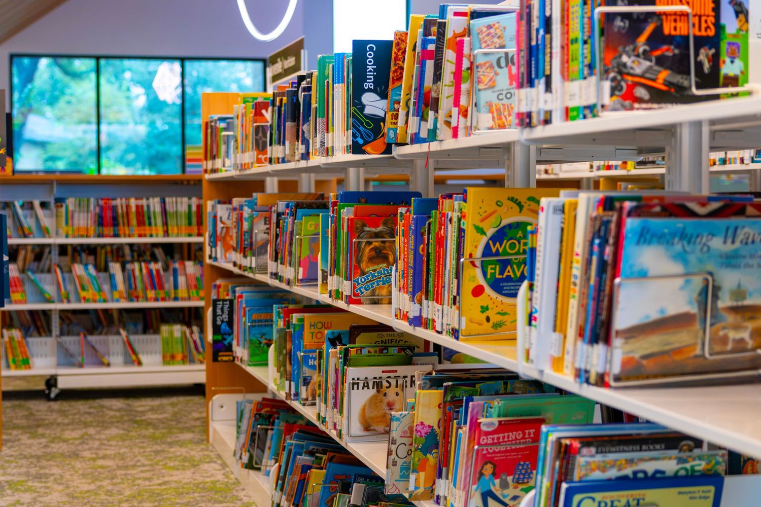 Colorful childrens books displayed on white library shelves with bright covers in a modern public library.