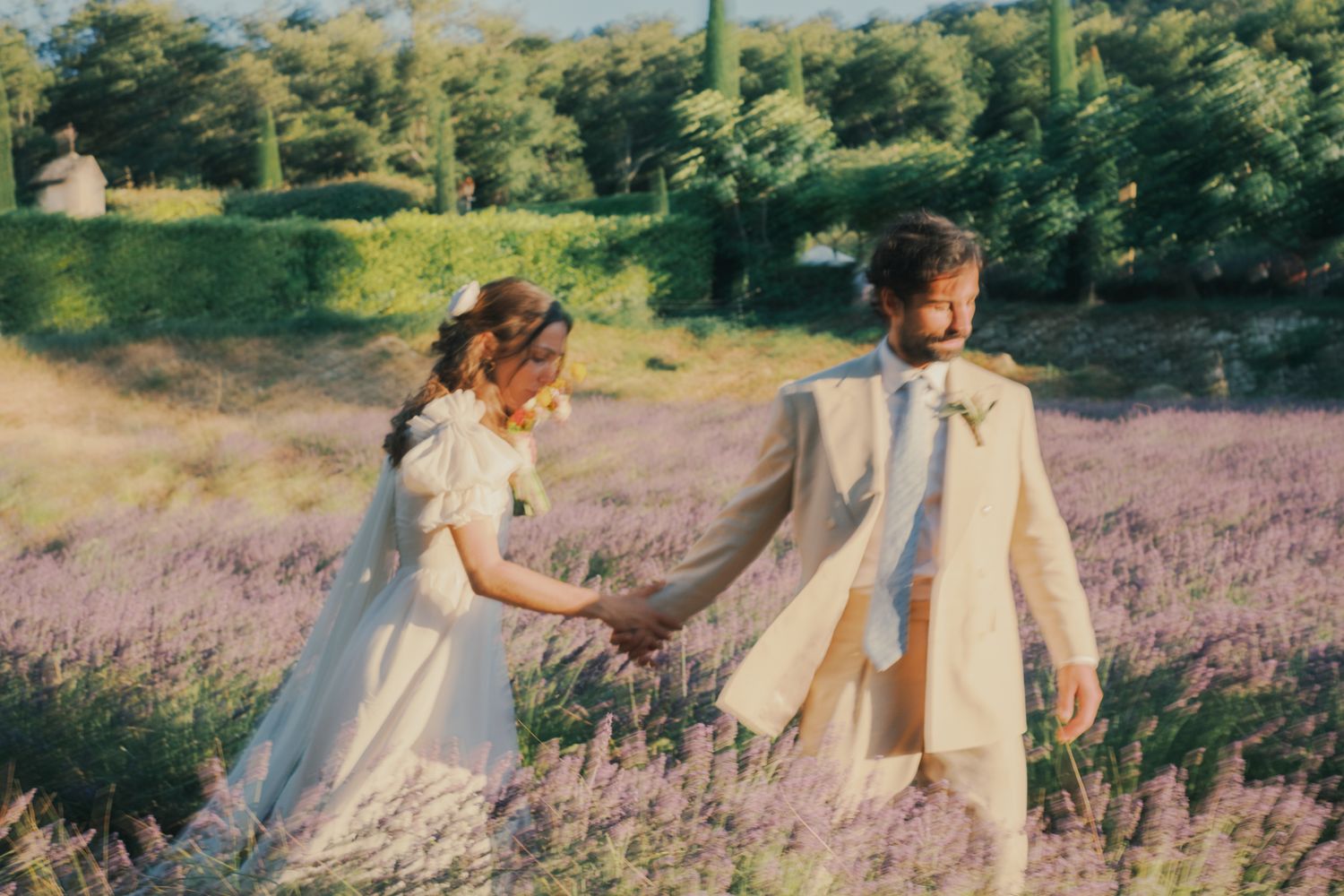 A bride and groom hold hands walking through a blooming lavender field on their wedding day.