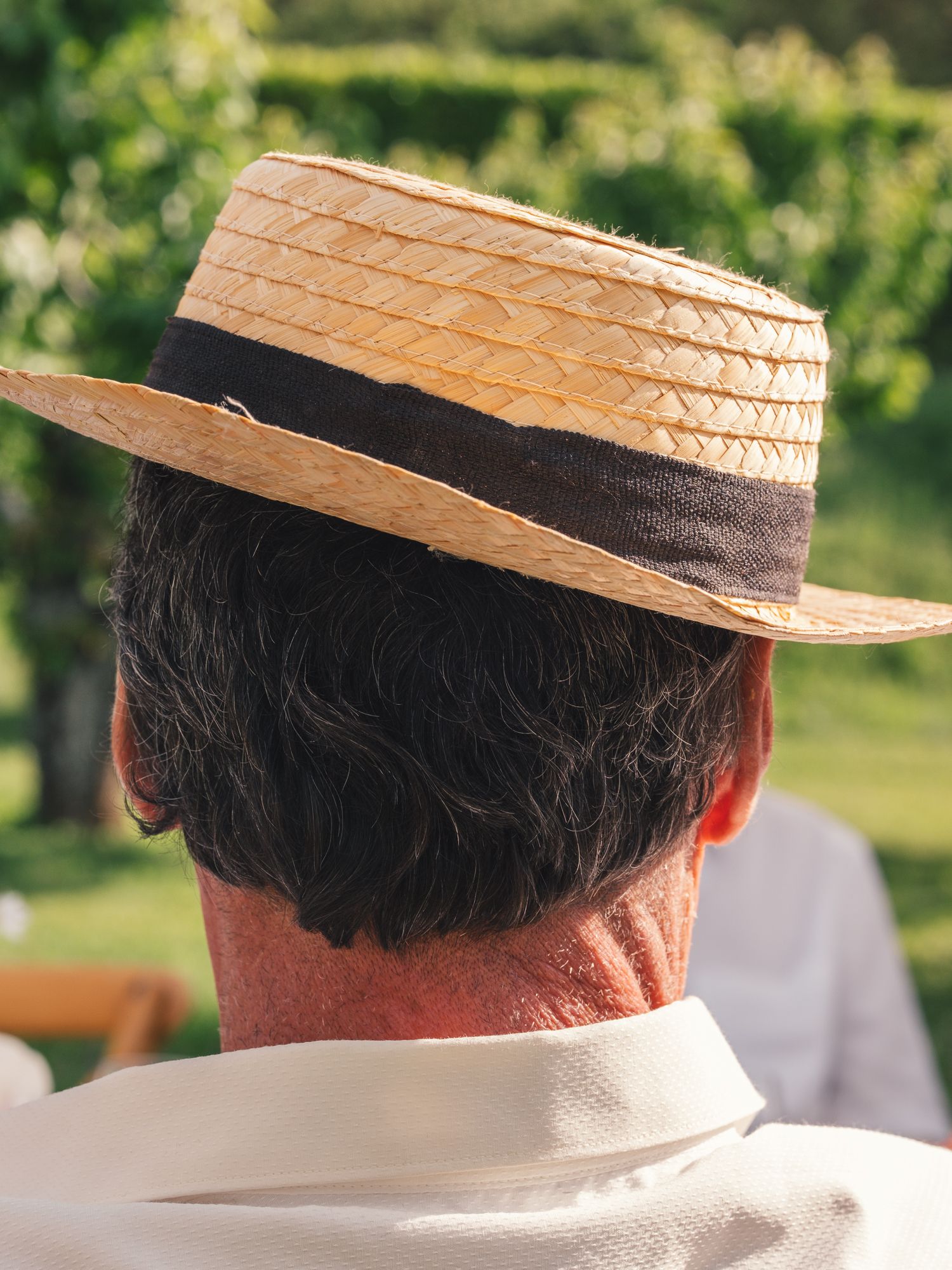 Man wearing a straw boater hat with black band, viewed from behind, outdoors near green vineyard.