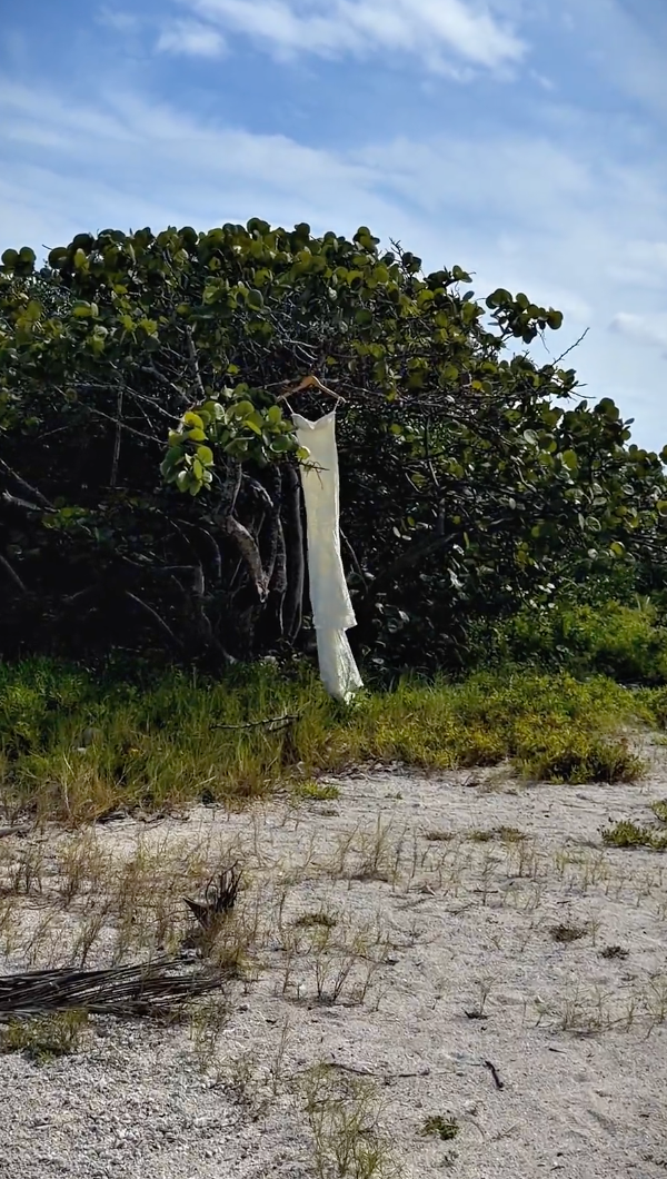 White wedding dress hanging on a tree branch at a sandy beach with lush green foliage and blue sky.
