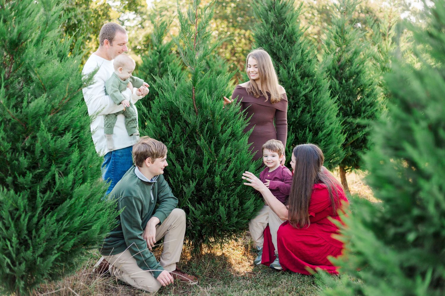Family portrait session among evergreen trees at sunset with warm golden light filtering through branches.
