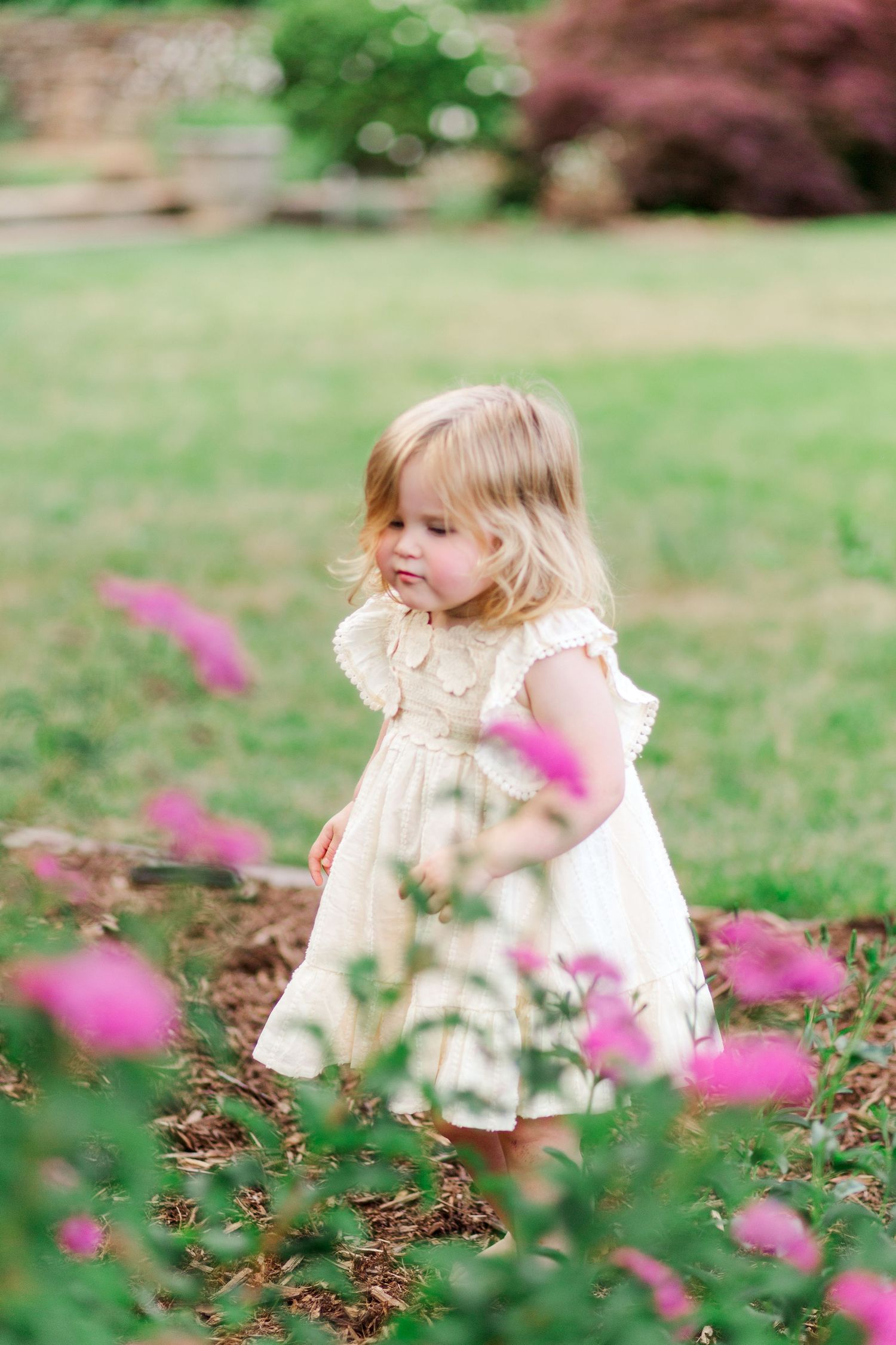 A small child wearing a cream-colored dress stands in a garden with pink flowers blooming in the foreground in Clemson, SC