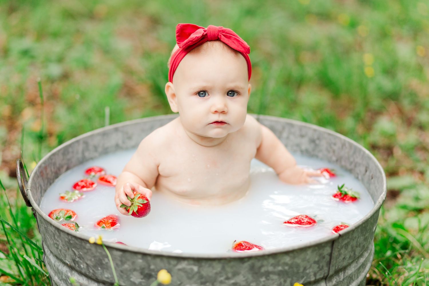 A young child sits in a metal tub with milk and strawberries outdoors on green grass in Greenville, SC for milestone session.