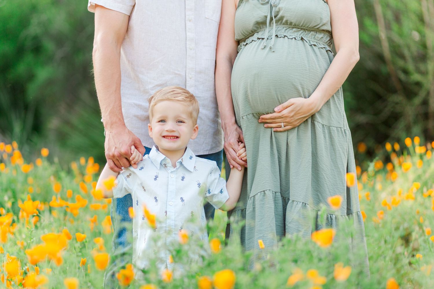 Young child stands in a field of yellow wildflowers for family photo session in Clemson, SC
