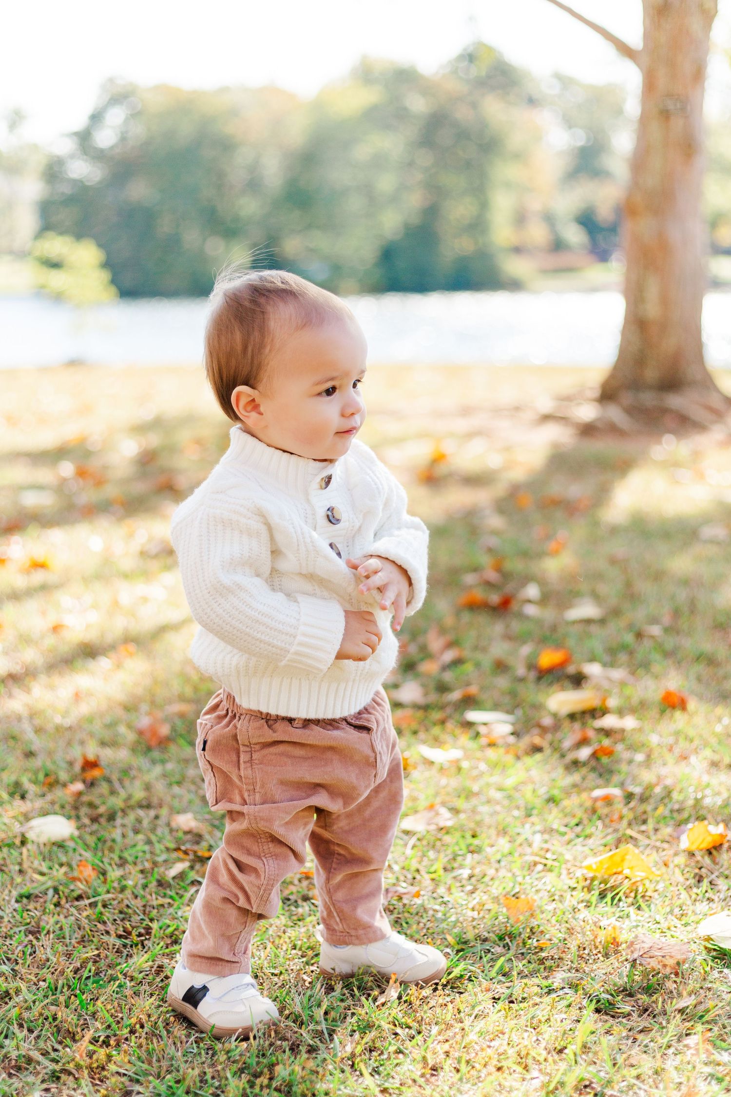 Small toddler in white sweater and brown pants walks through fallen autumn leaves in a sunlit park setting.