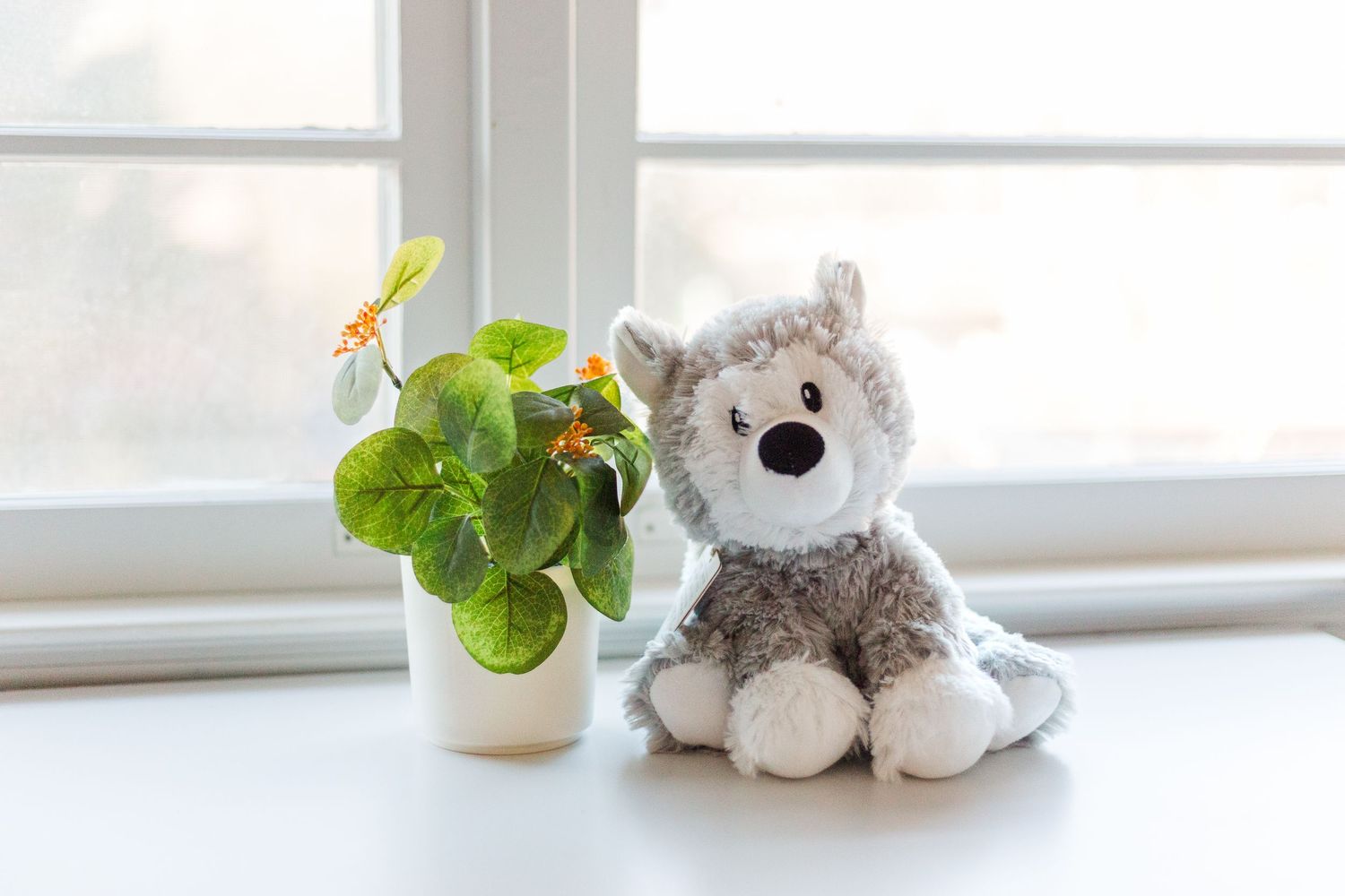 A small plush gray wolf sits next to a white potted plant with yellow flowers on a bright windowsill.