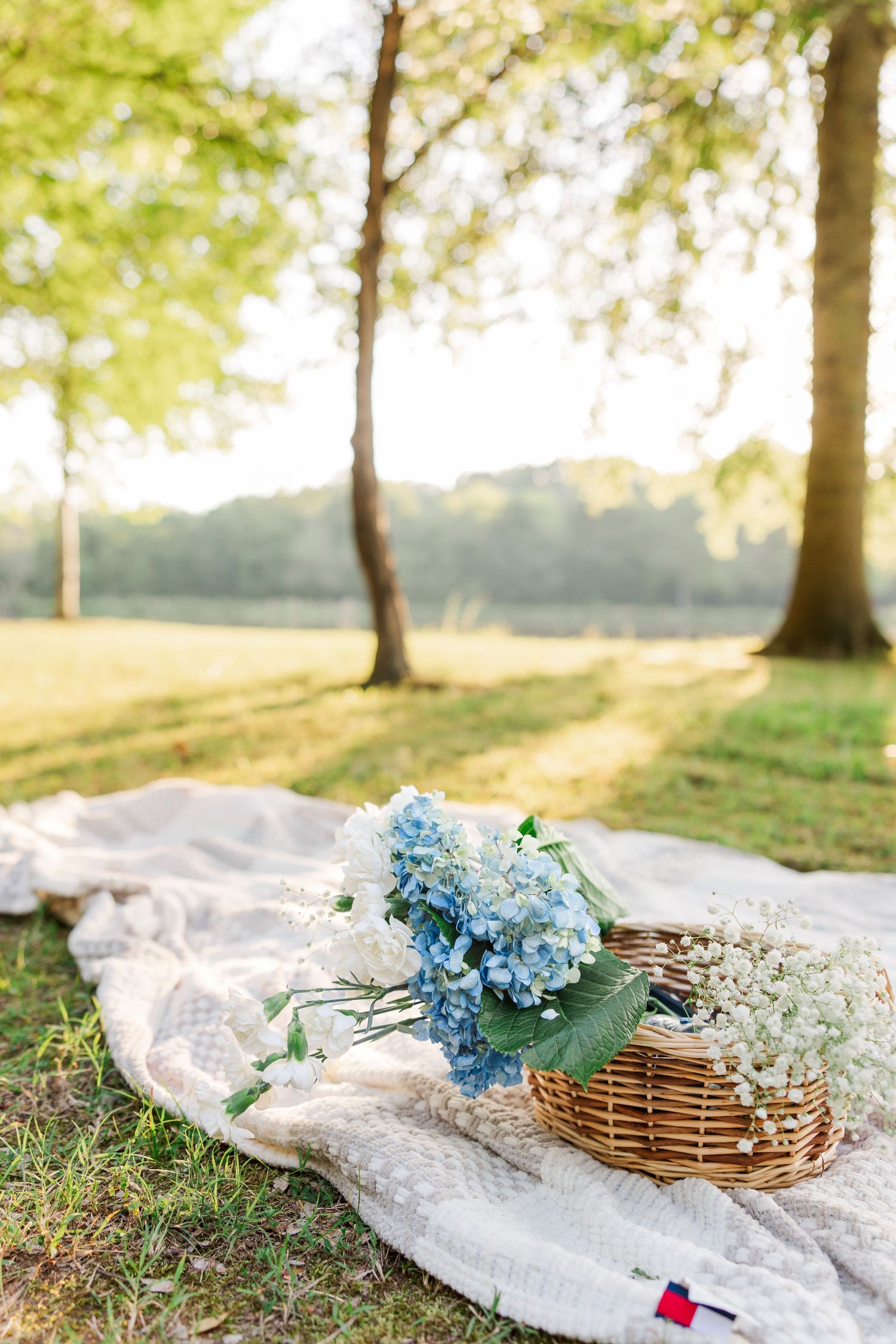 Blue hydrangeas and white flowers in a wicker basket on a blanket in a sunny park.