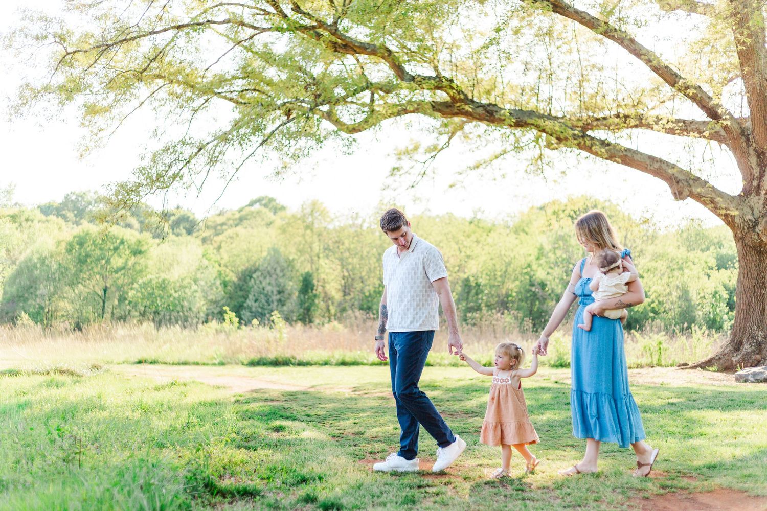 Family of four walking hand-in-hand outdoors under a large tree in a sunny green field.