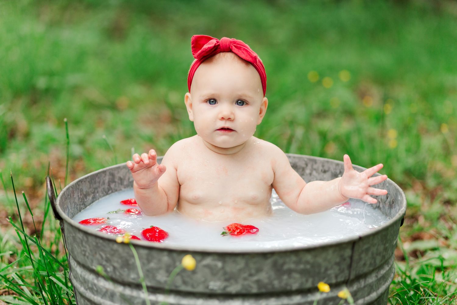A baby with a red bow sits in a metal washing basin filled with milk and floating flowers for a milk bath photo shoot in Greenville, SC