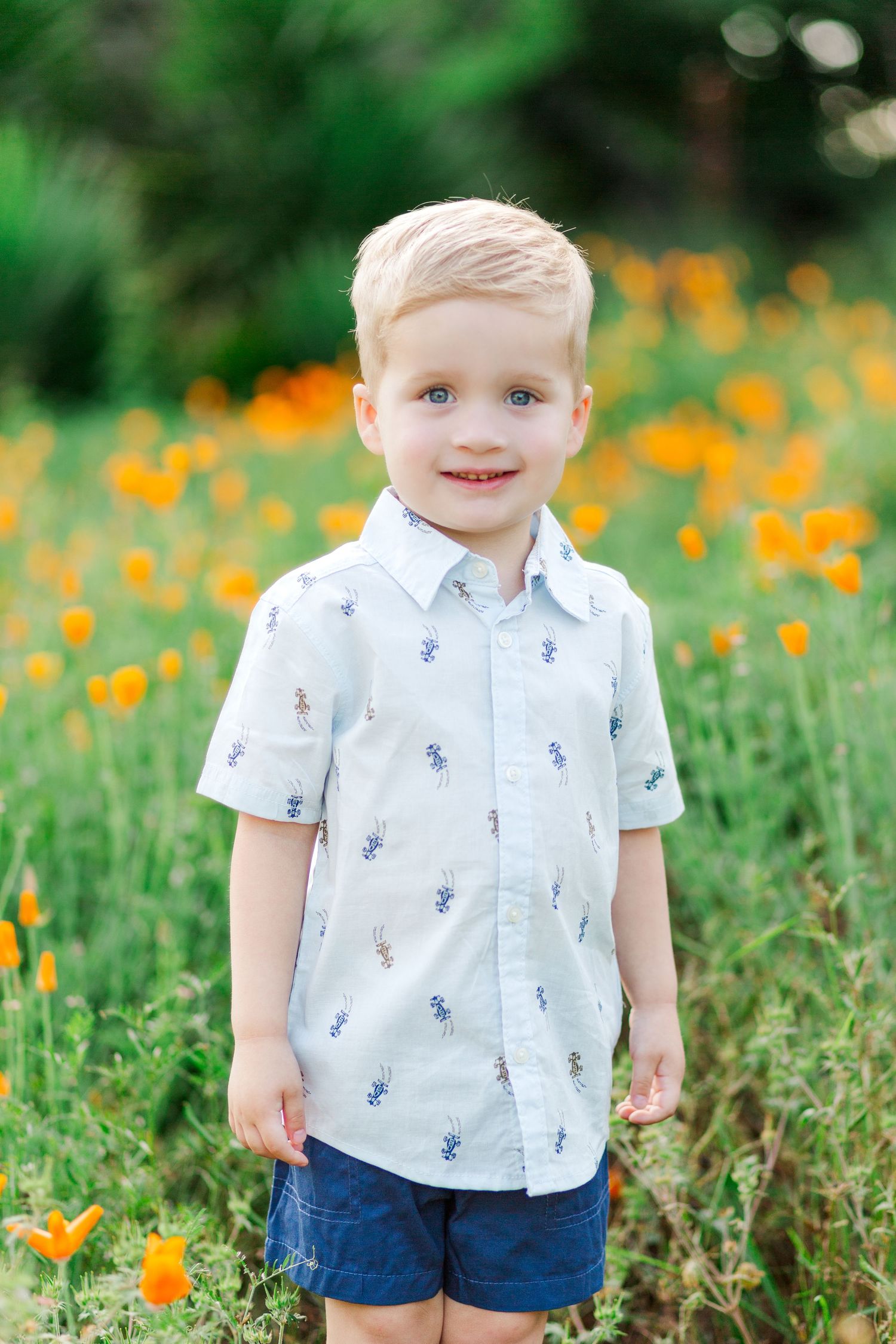 A young child stands in a field of blooming orange flowers for a spring family photo session in Clemson, SC