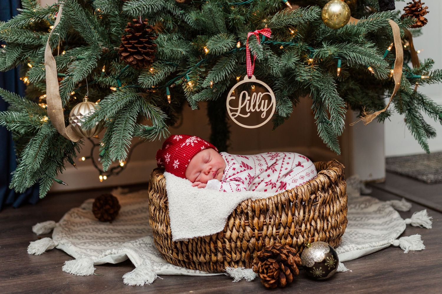 Natural pine cones arrange beneath a decorated Christmas tree with gold ornaments and evergreen boughs.